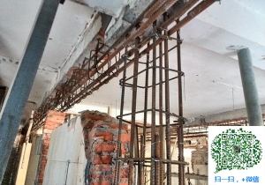 镇沅青岛加固公司